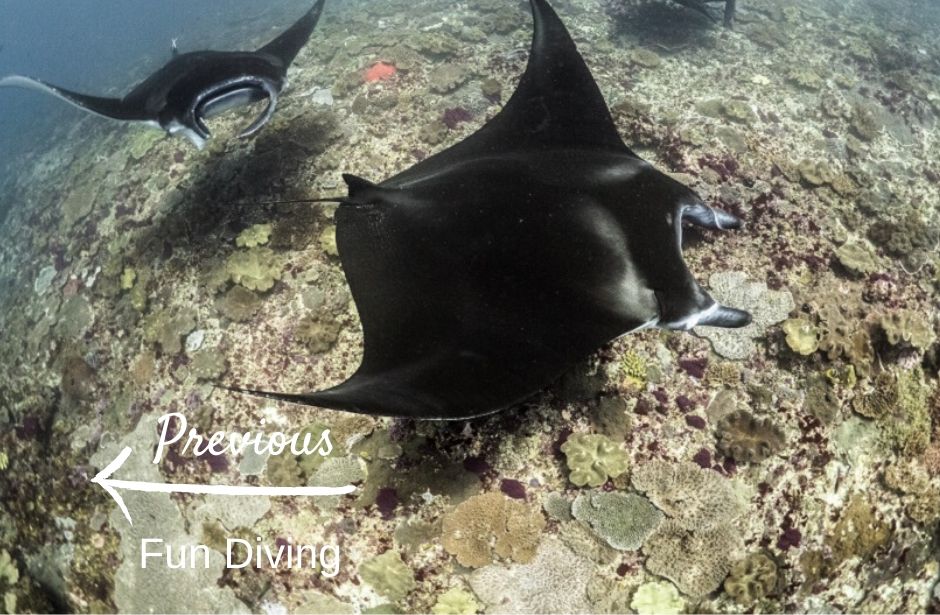 Diving Nusa Penida with Legend diving lembongan