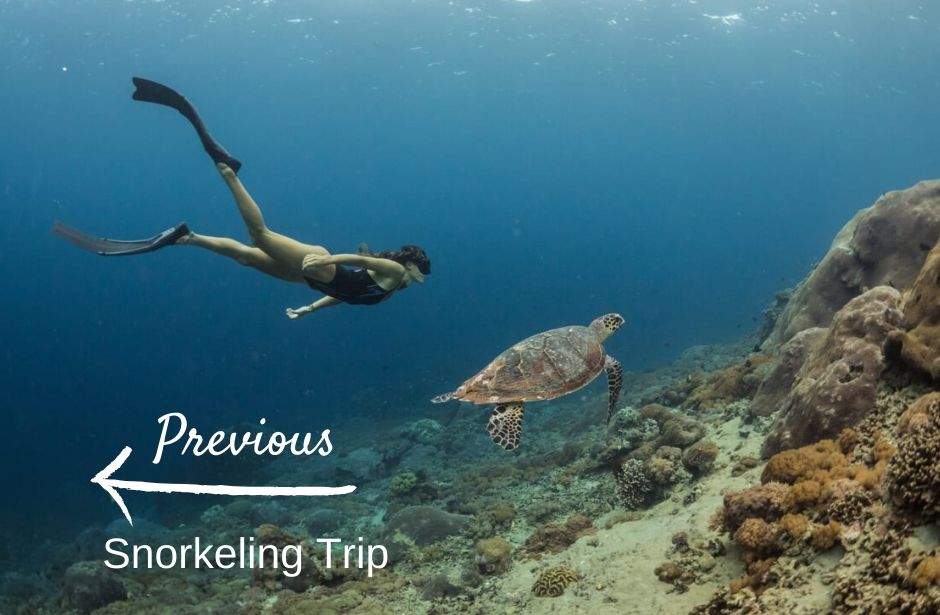Snorkeling trip with legend diving lembongan