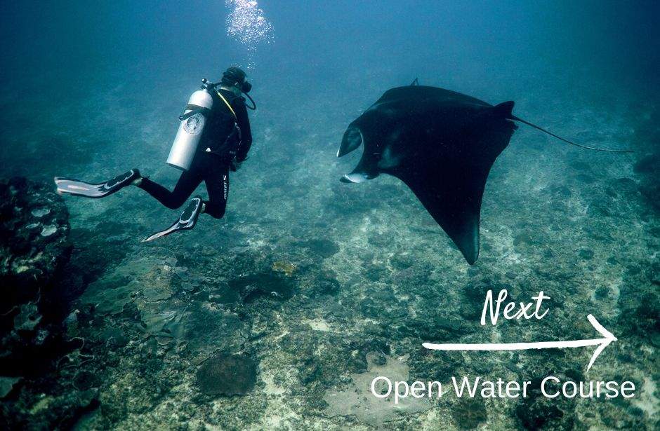 Open water course and manta rays with legend diving lembongan