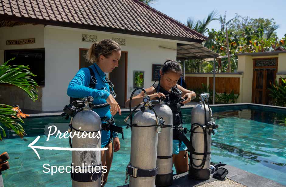 Done freediving Nusa Lembongan? Check out our other specialties!