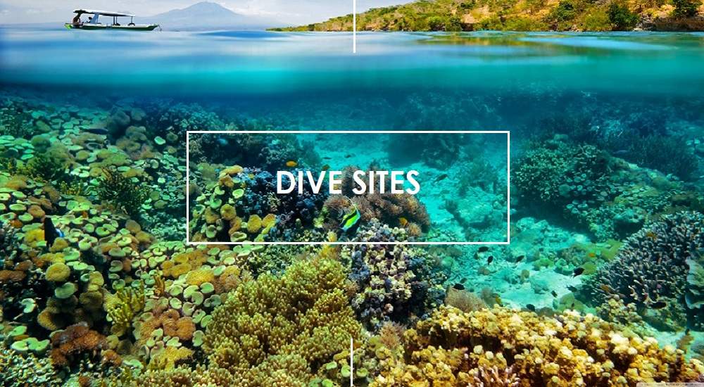 Dive sites of Nusa Lembongan and Nusa Penida